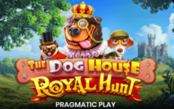 The dog house